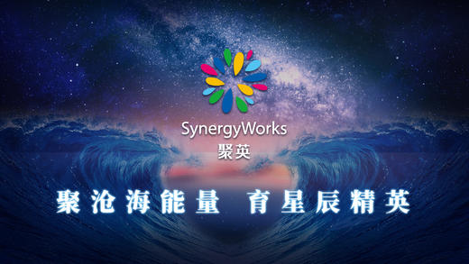 OD角色及胜任力 商品图0