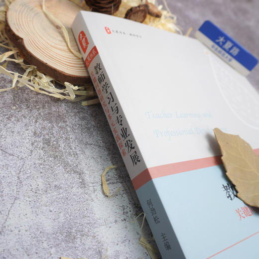 教师学习与专业发展：关键问题研究与多元实践探索 大夏书系 师资培养 教师读物 何劲松 教育理论 商品图2