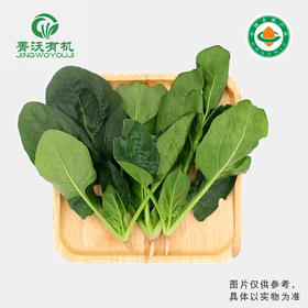 菁沃有机菠菜300g