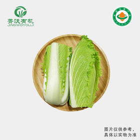 菁沃有机青麻叶白菜300g