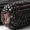 【大鹏】东北黑玉米嫩甜糯玉米棒10根（新老包装随机发货） 商品缩略图2