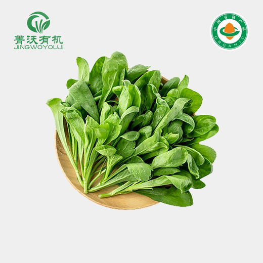 菁沃有机大叶茼蒿300g 商品图0