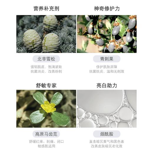 【双十一特惠】婕珞芙 上将男士系列 海茴香控油清痘洁面膏70g（赠上将精华乳3g体验装15袋）[C类] 商品图4