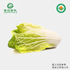 菁沃有机黄芽白菜300g 商品缩略图0