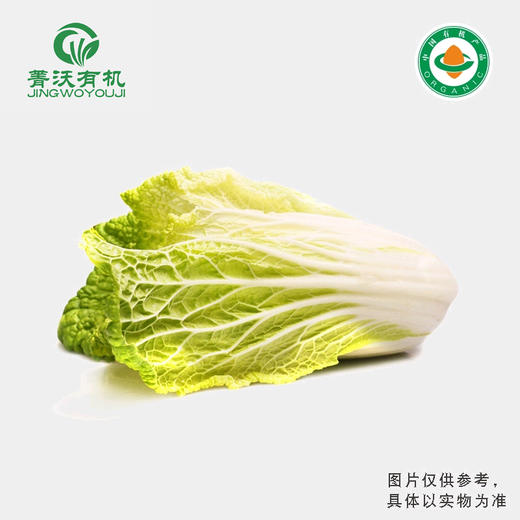 菁沃有机黄芽白菜300g 商品图0