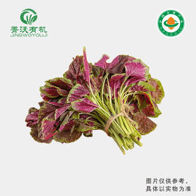 菁沃有机红米苋300g