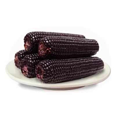 【大鹏】东北黑玉米嫩甜糯玉米棒10根（新老包装随机发货） 商品图0