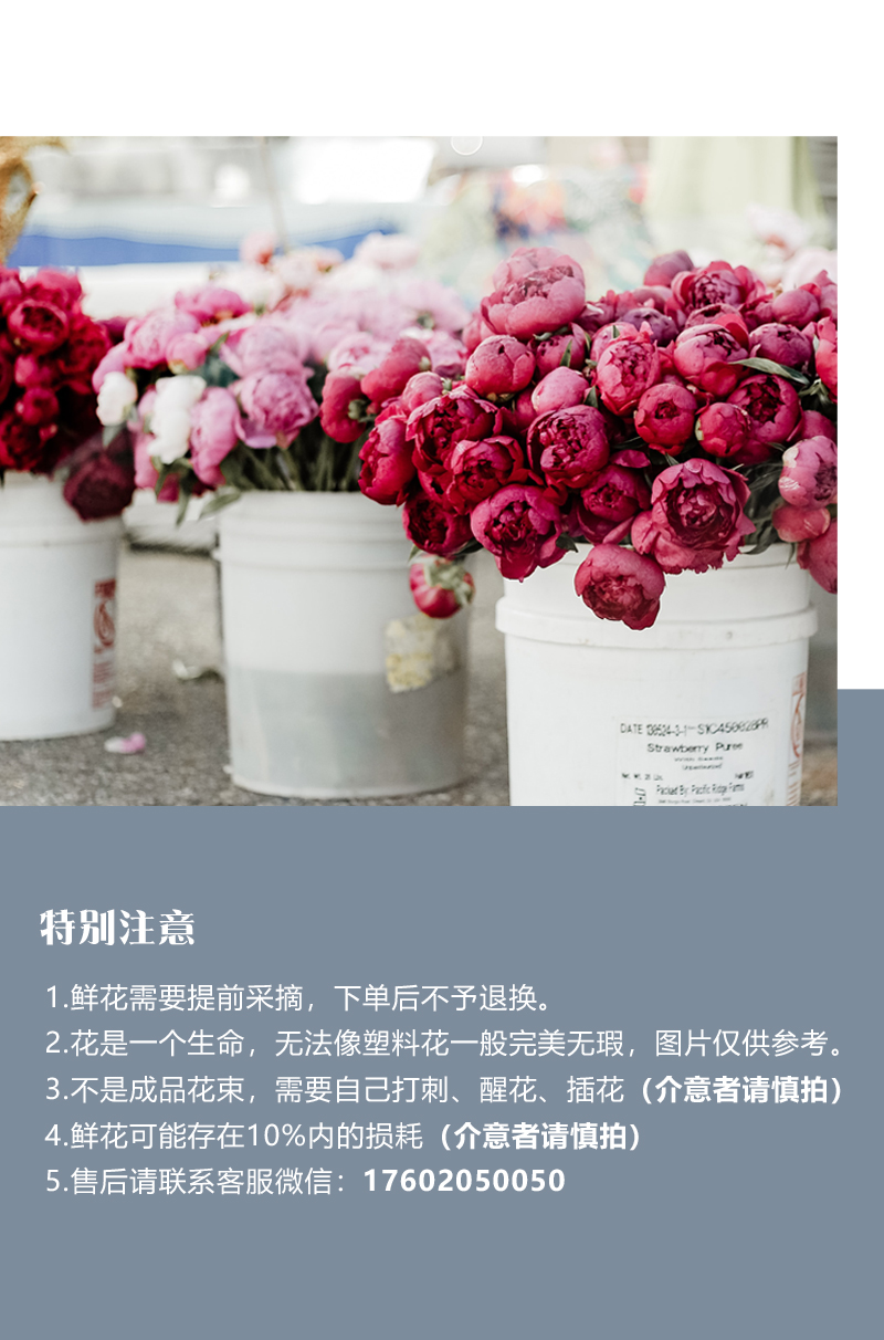 眼线多头玫瑰【你说我眼睛闪闪的有星星,因为抬头转身,就能看到你】简