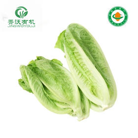 菁沃有机生菜300g