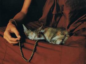 晚安书店No.24|昂山素季与一九八四