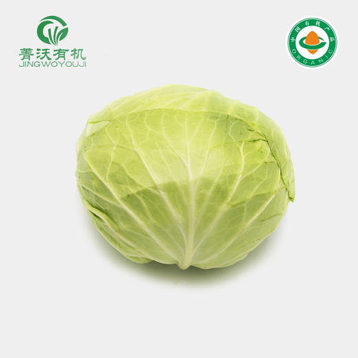 菁沃有机卷心菜300g 商品图0