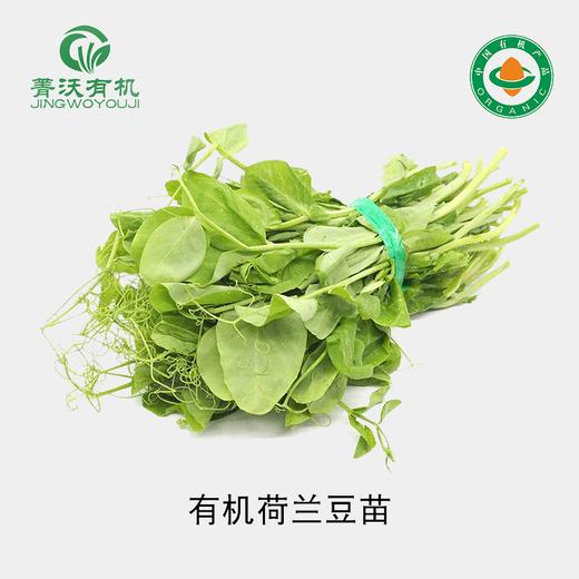 菁沃有机荷兰豆苗 商品图0