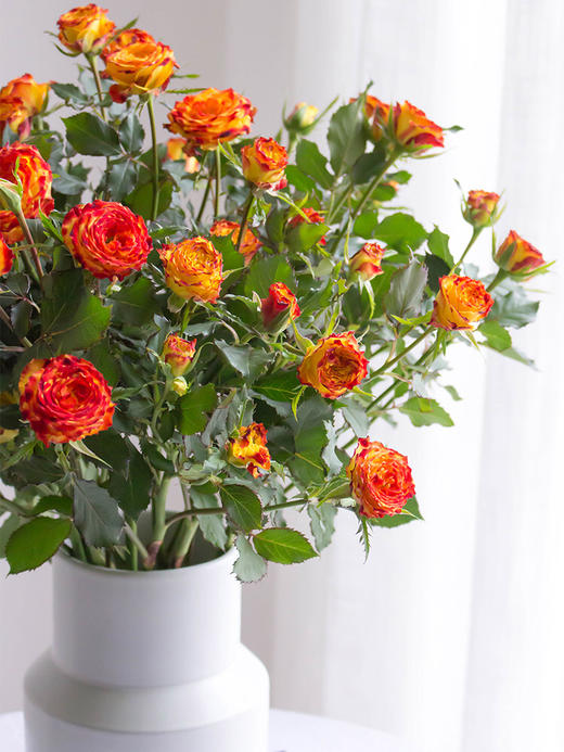 眼线多头玫瑰【你说我眼睛闪闪的有星星，因为抬头转身，就能看到你】简小姐精选 稀有温暖复古肯尼亚进口品种玫瑰 橙色系多头 眼线/眼线笔9+1枝（防花损）2件包邮 下单5天内发货 商品图4