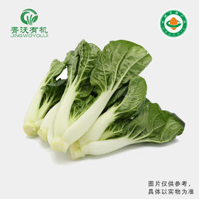 菁沃有机奶白菜300g