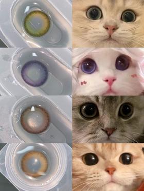 猫崽子同款美瞳第一弹！这也太奶了叭！