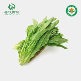 菁沃有机油麦菜300g