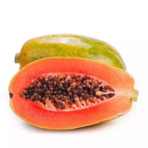 海南树上熟红心牛奶木瓜 （5斤家庭装/8斤礼盒装） 商品图4