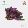 【下单后2-3天发货】菁沃有机紫背天葵300g 商品缩略图0