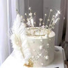 白色流星皇冠 商品缩略图0
