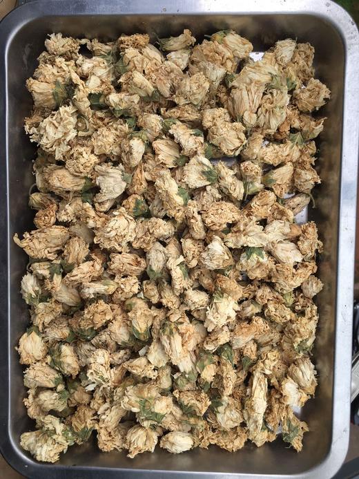 木槿花    白槿花 商品图0