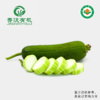 菁沃有机丝瓜300g 商品缩略图0