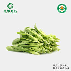 菁沃有机鸡毛菜300g