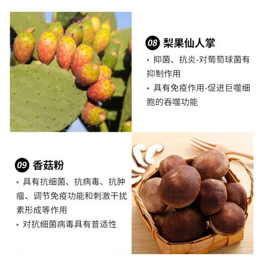 已下架 预售【悦己福袋】中科和素 | 冕医素™ 接骨木莓裸藻压片糖果2盒装 （赠鱼子酱眼部精华*1 白松露面膜*1 酉每棉条小剂量*1）[B类] 商品图6
