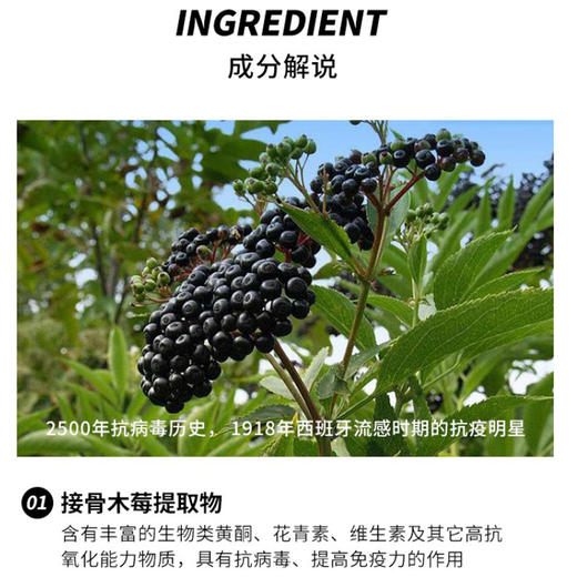 已下架 预售【悦己福袋】中科和素 | 冕医素™ 接骨木莓裸藻压片糖果2盒装 （赠鱼子酱眼部精华*1 白松露面膜*1 酉每棉条小剂量*1）[B类] 商品图1