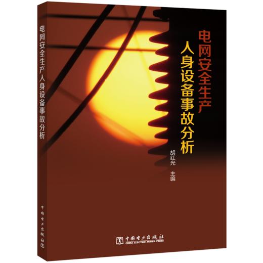 电网安全人身设备事故分析 商品图0