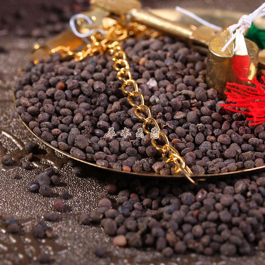 急性子 商品图2