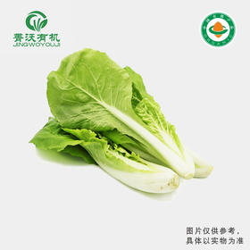 菁沃有机杭白菜300g