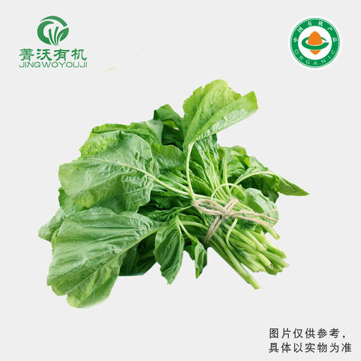 菁沃有机白米苋300g 商品图0