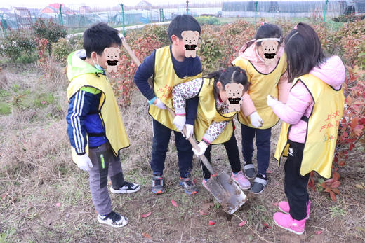 春种—拾趣春味（植树节） 商品图1