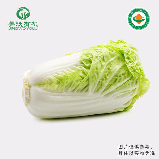 菁沃有机大白菜300g 商品图0