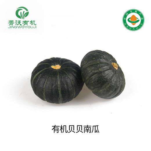 菁沃有机贝贝南瓜300g 商品图0