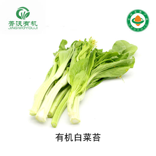 菁沃有机白菜苔300g 商品图0