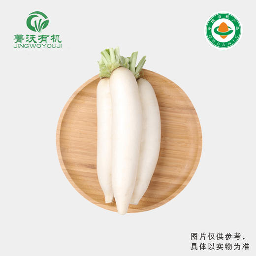 菁沃有机白萝卜300g 商品图0