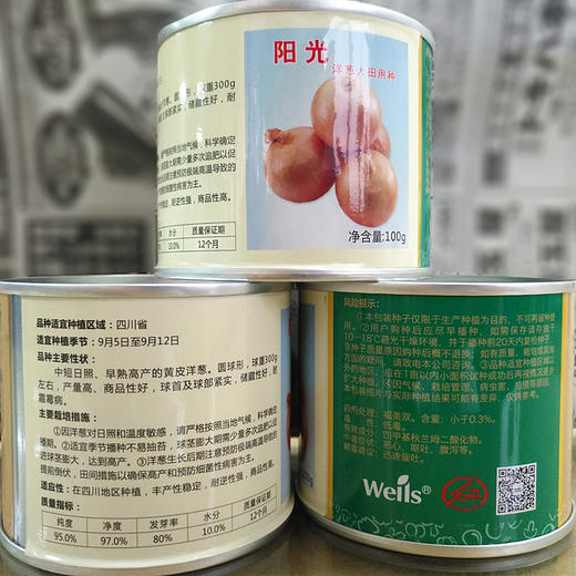 [专业种子] “阳光”洋葱种子 （四川适用） 商品图1