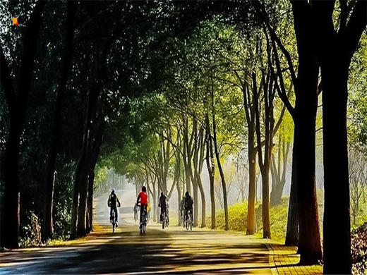 【延庆骑行1日】妫水河骑行｜北京十佳骑行线路-官厅水库库滨带30公里休闲骑游｜一路春风拂面 商品图2