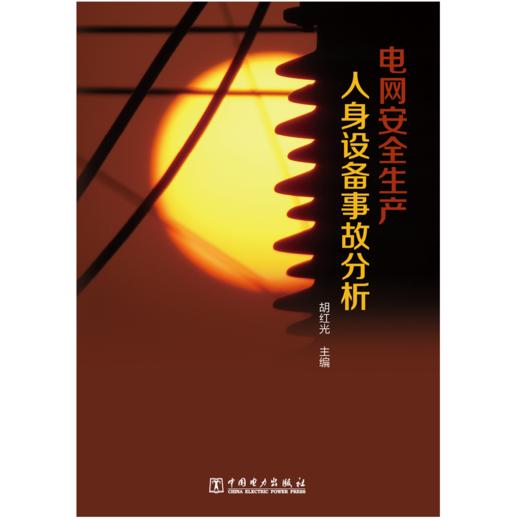 电网安全人身设备事故分析 商品图1