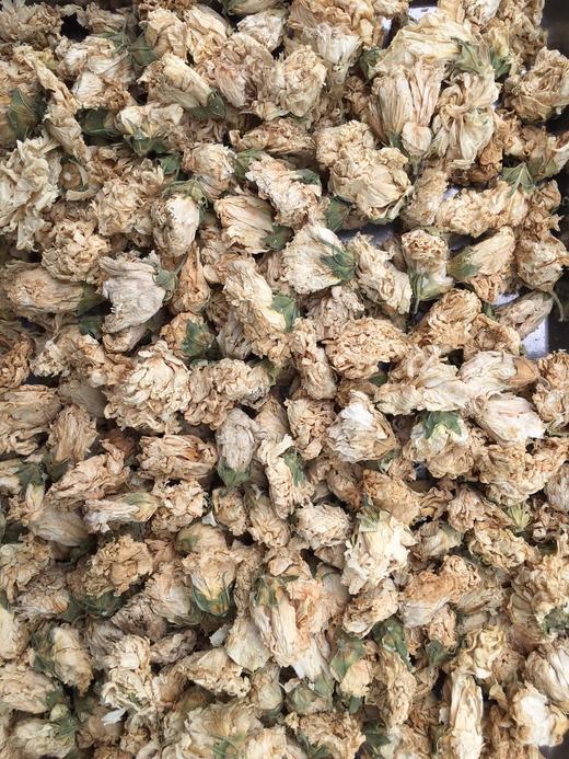 木槿花    白槿花 商品图1