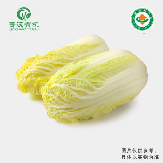 菁沃有机娃娃菜300g 商品图0