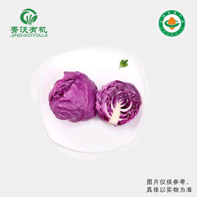 菁沃有机紫甘蓝300g