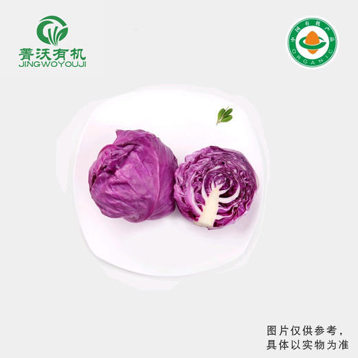 菁沃有机紫甘蓝300g 商品图0