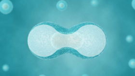  面膜到底要怎么敷？能补水保湿吗？ 