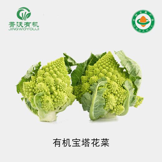 菁沃有机宝塔花菜300g 商品图0