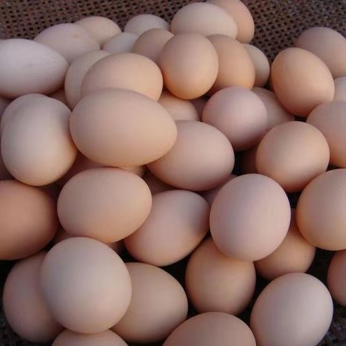 【3.18长春鸡蛋团购】鲜鸡蛋 30个