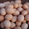 【3.18涪陵鸡蛋团购】鲜鸡蛋 30个 商品缩略图0