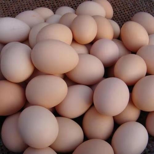 【3.18涪陵鸡蛋团购】鲜鸡蛋 30个 商品图0