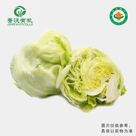 菁沃有机结球生菜300g